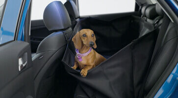 hyundai tucson dog seat belt