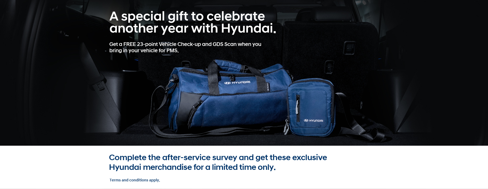 hyundai anniversary promo 2024 bags