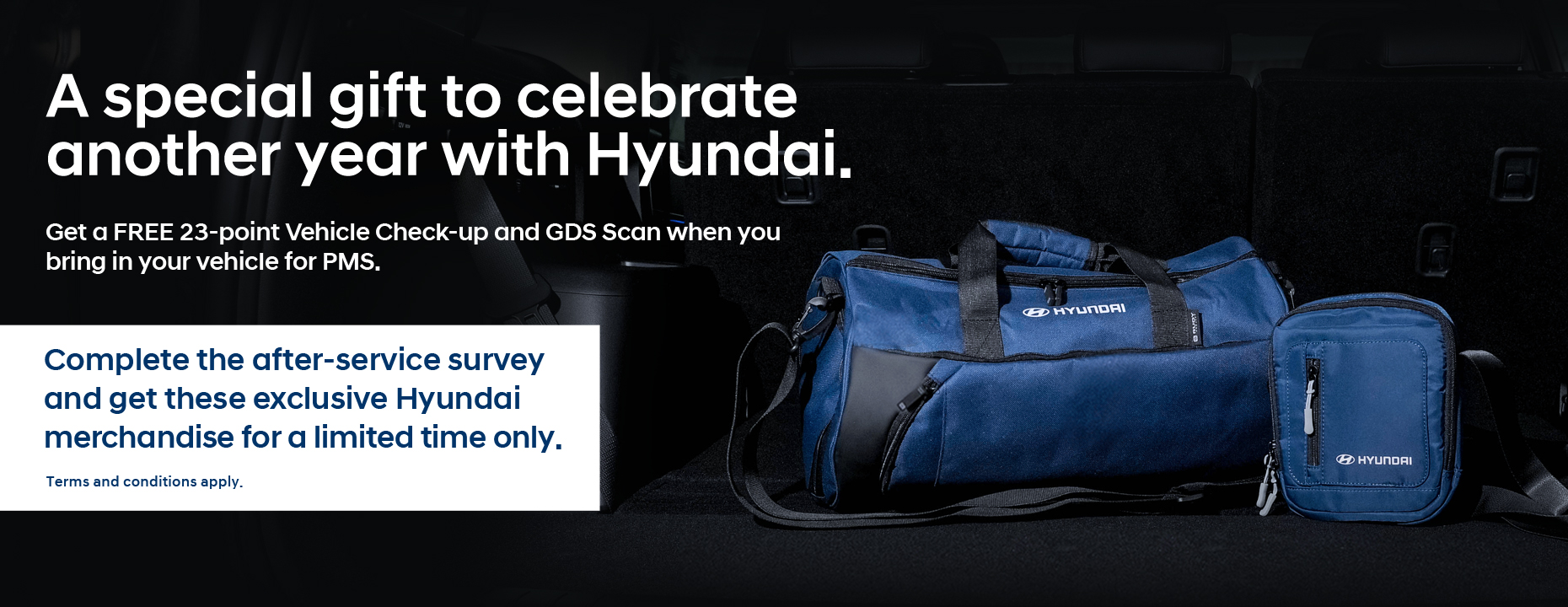 hyundai anniversary promo bags