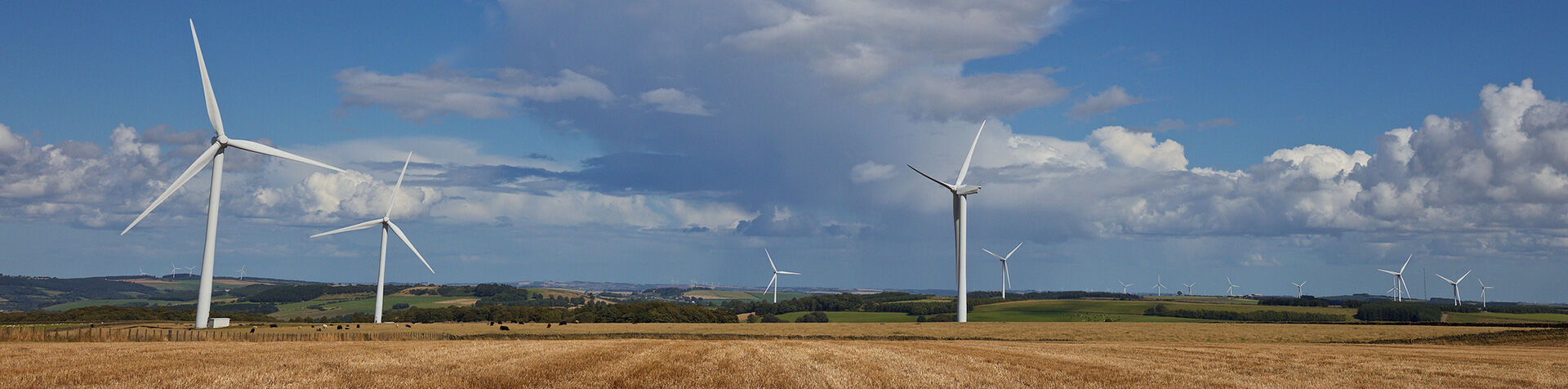 Adapting our daily habits to protect our planet