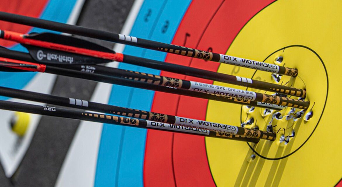 A group of arrows shown hitting the target bullseye, each scoring 10 points